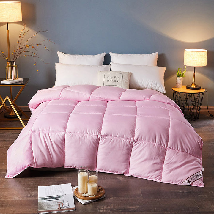 Down Duvet, Winter Duvet, Goose Down Duvet Core, Air Conditioner.
