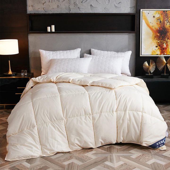 Down Duvet, Winter Duvet, Goose Down Duvet Core, Air Conditioner.